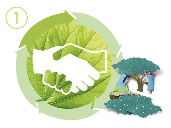 Garnier commits to Sustainable Green Beauty: sustainability through solidarity sourcing